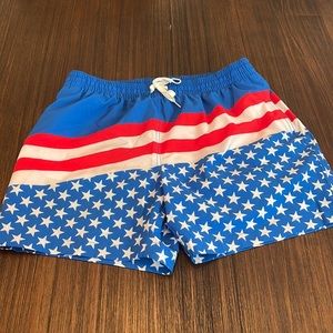 Chubbies lined shorts